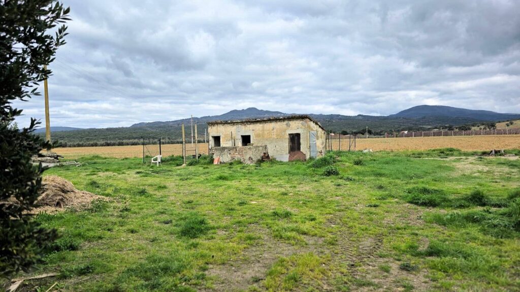 1613-Rustico di ampia superficie da ristrutturare con terreno-Roccastrada-14 Agenzia Immobiliare ASIP