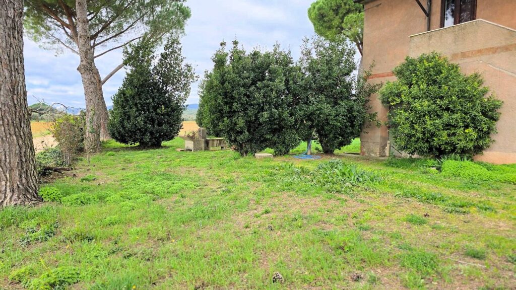 1613-Rustico di ampia superficie da ristrutturare con terreno-Roccastrada-7 Agenzia Immobiliare ASIP