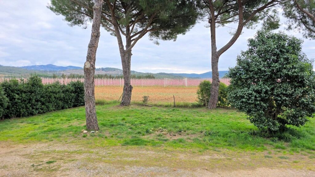 1613-Rustico di ampia superficie da ristrutturare con terreno-Roccastrada-6 Agenzia Immobiliare ASIP