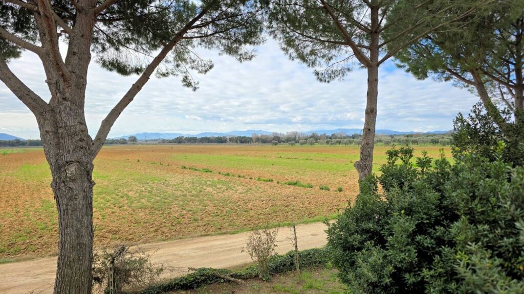 1613-Rustico di ampia superficie da ristrutturare con terreno-Roccastrada-8 Agenzia Immobiliare ASIP