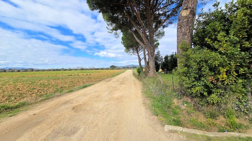 1613-Rustico di ampia superficie da ristrutturare con terreno-Roccastrada-12 Agenzia Immobiliare ASIP