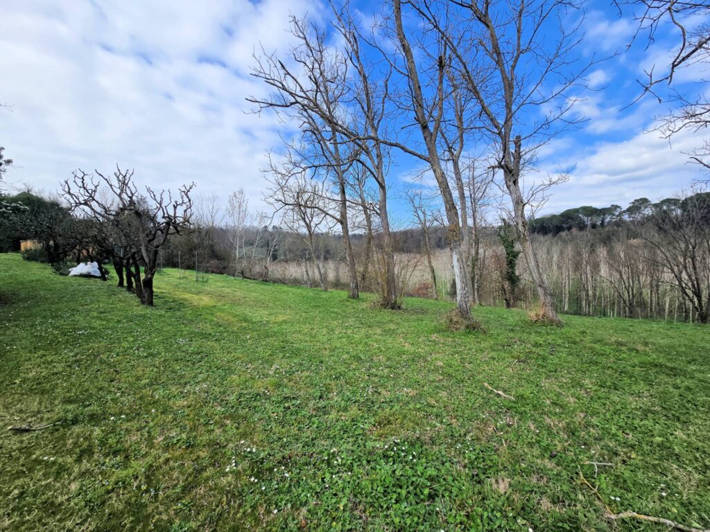 1690-Casale con annessi ampio terreno e vista panoramica-Fucecchio-16 Agenzia Immobiliare ASIP