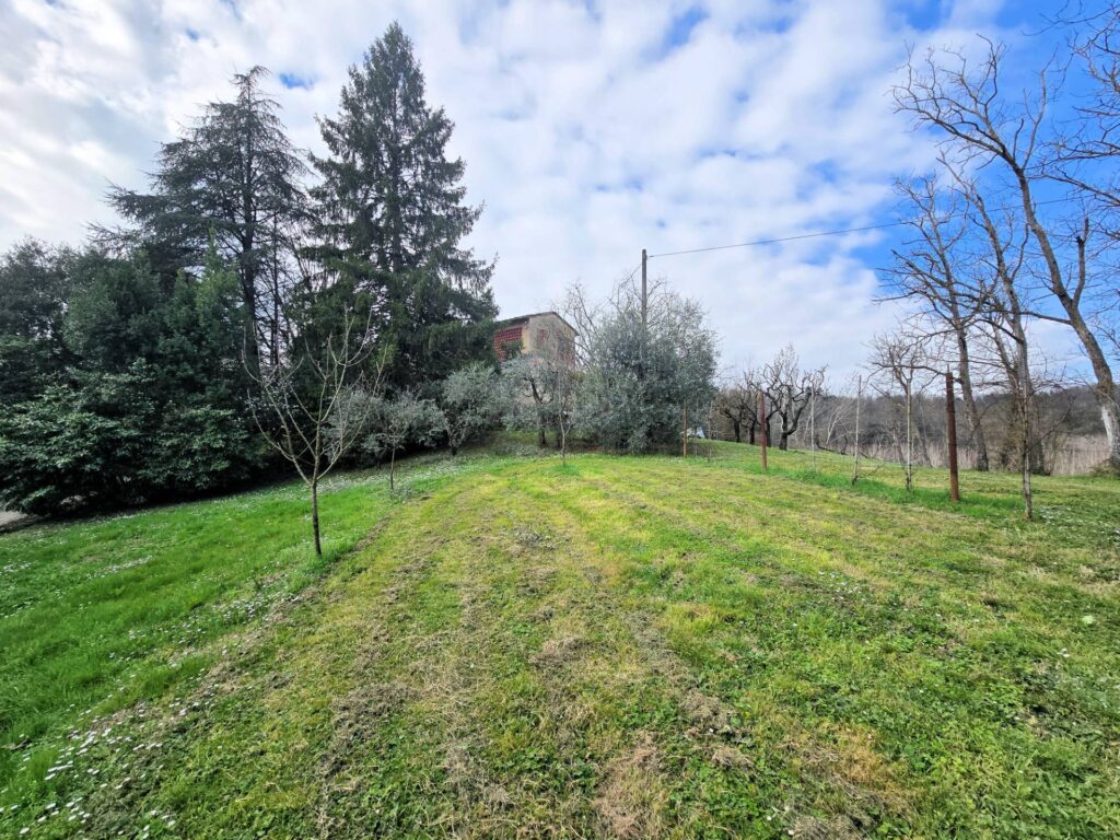1690-Casale con annessi ampio terreno e vista panoramica-Fucecchio-14 Agenzia Immobiliare ASIP