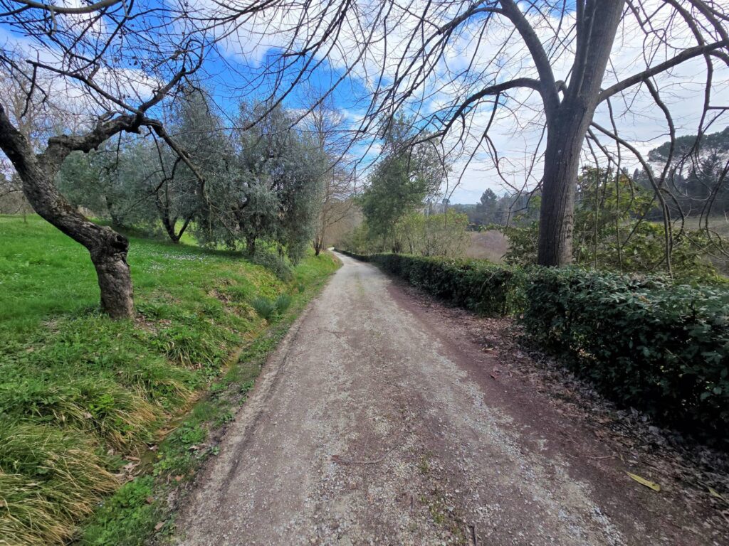 1690-Casale con annessi ampio terreno e vista panoramica-Fucecchio-13 Agenzia Immobiliare ASIP