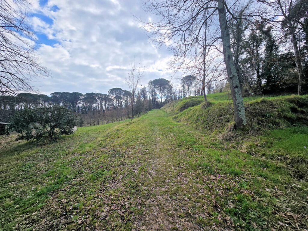 1690-Casale con annessi ampio terreno e vista panoramica-Fucecchio-20 Agenzia Immobiliare ASIP