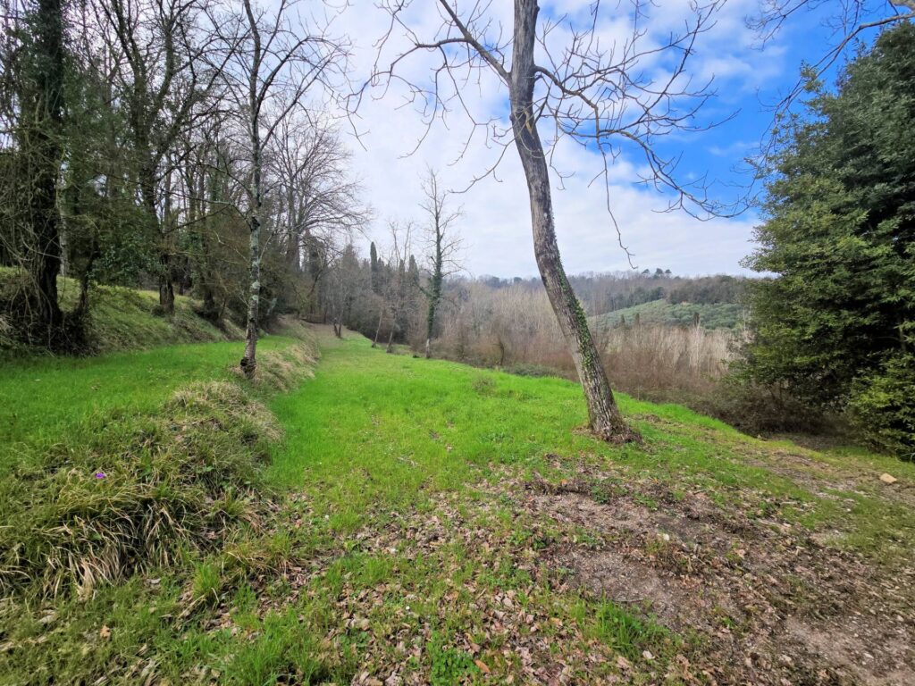 1690-Casale con annessi ampio terreno e vista panoramica-Fucecchio-21 Agenzia Immobiliare ASIP