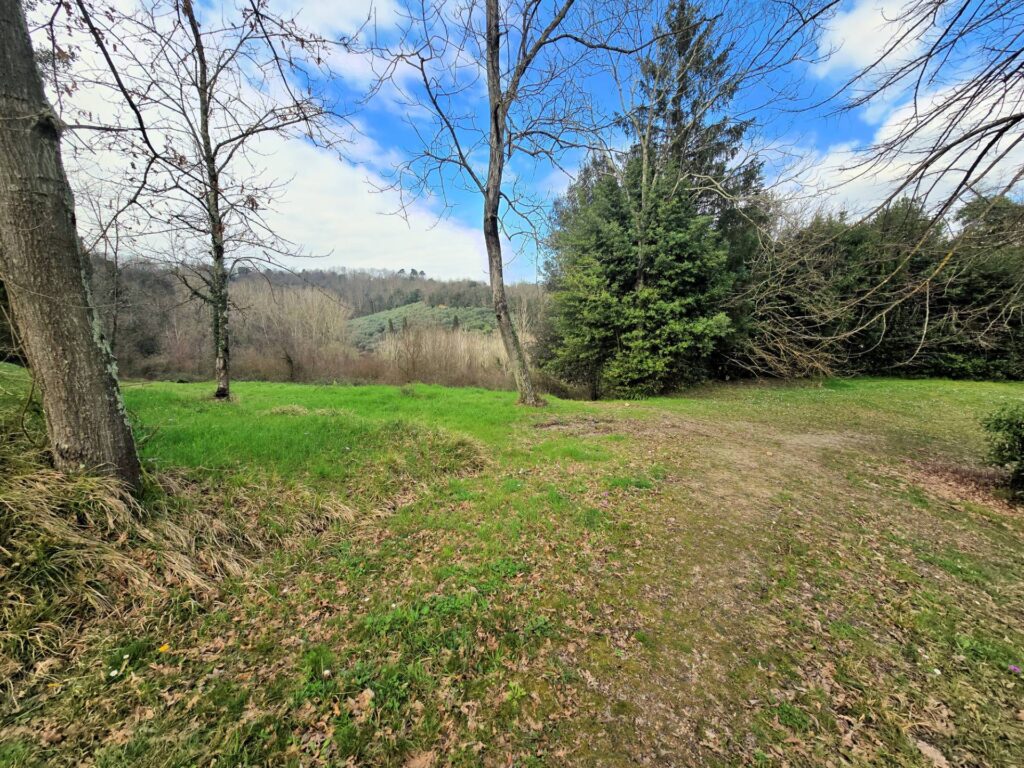 1690-Casale con annessi ampio terreno e vista panoramica-Fucecchio-17 Agenzia Immobiliare ASIP