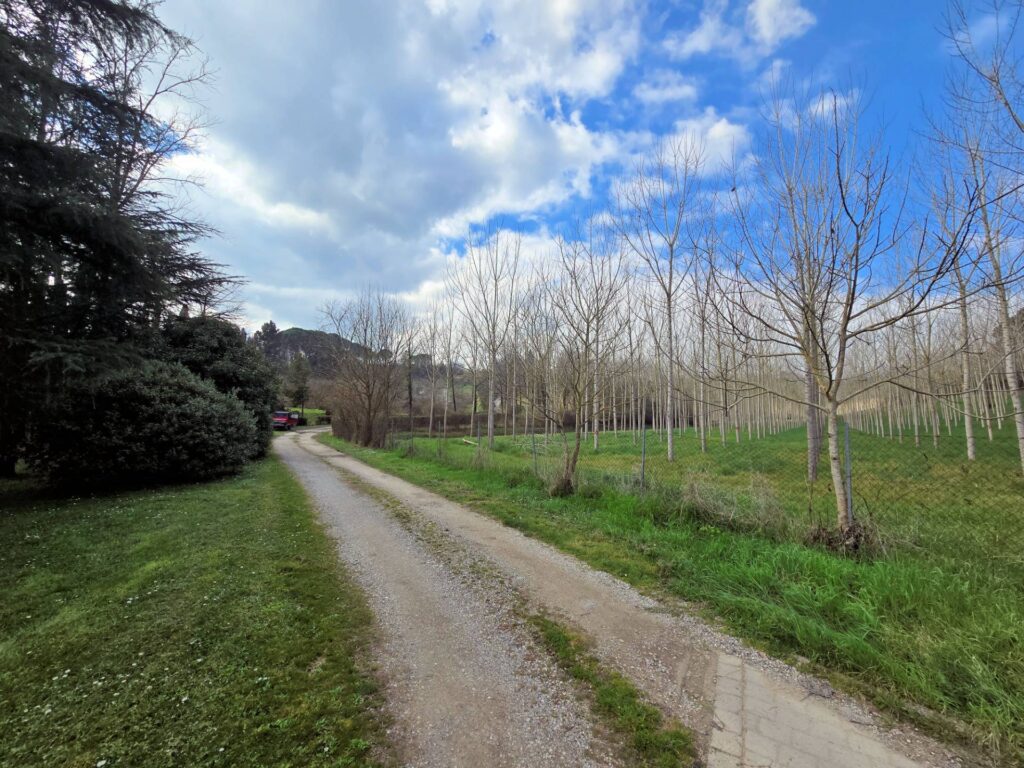 1690-Casale con annessi ampio terreno e vista panoramica-Fucecchio-22 Agenzia Immobiliare ASIP