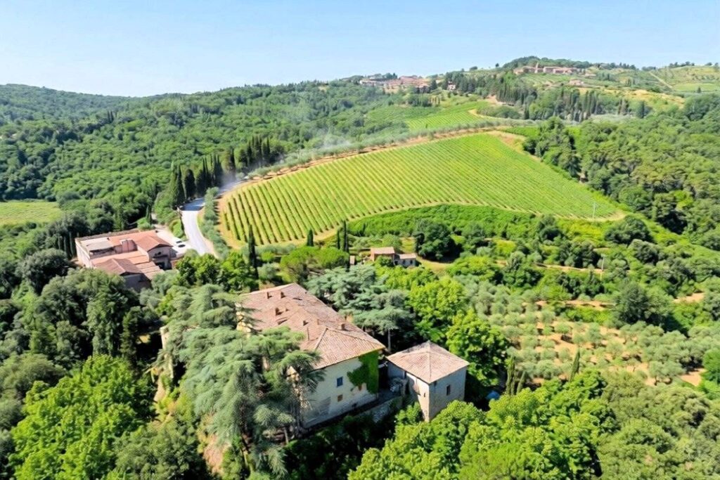 1691-Azienda Vitivinicola di alto livello nel Chianti Classico-Siena-4 Agenzia Immobiliare ASIP