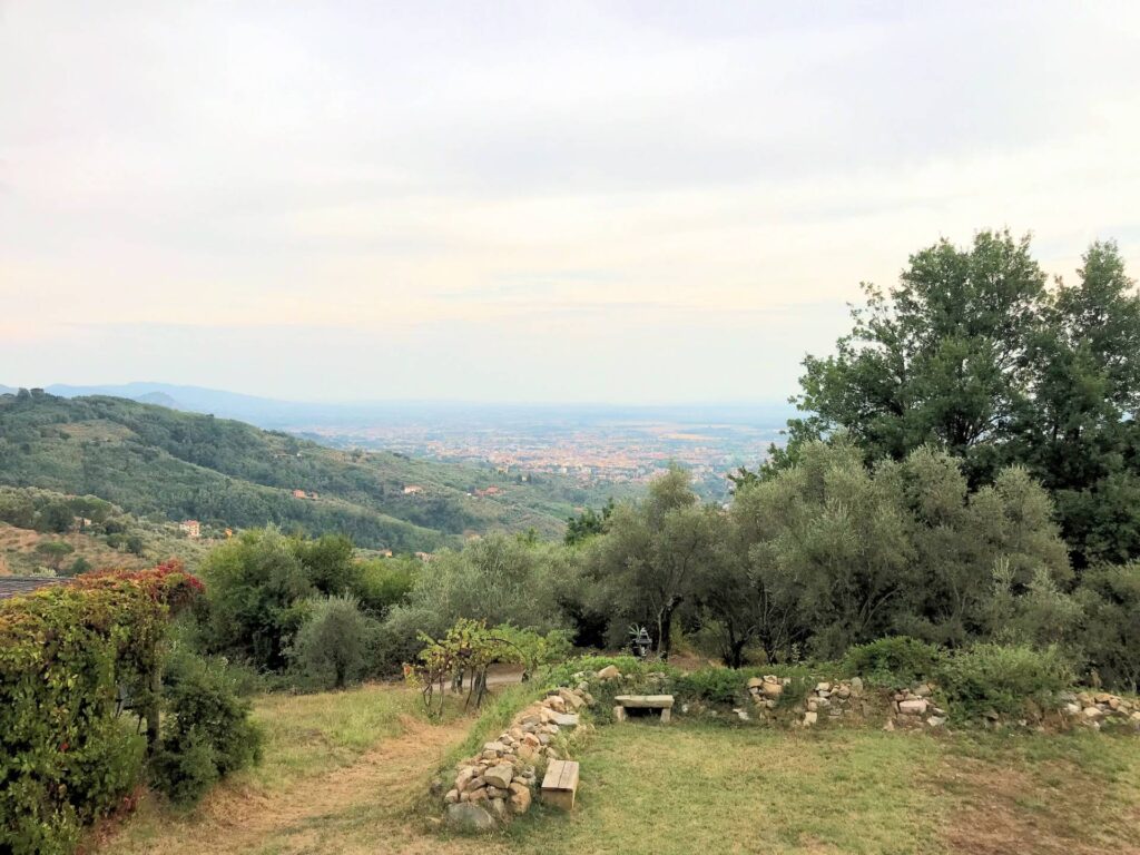 1693-Casa colonica di ampia superficie in posizione dominante con vista panoramica-Massa e Cozzile-2 Agenzia Immobiliare ASIP
