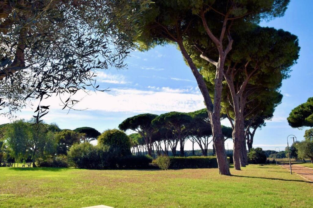 1695-Appartamento al piano terra libero su tre lati con giardino privato in complesso residenziale di alto livello con parco e due piscine condominiali-San Vincenzo-4 Agenzia Immobiliare ASIP