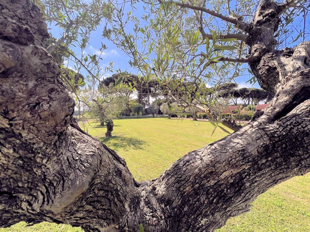 1695-Appartamento al piano terra libero su tre lati con giardino privato in complesso residenziale di alto livello con parco e due piscine condominiali-San Vincenzo-9 Agenzia Immobiliare ASIP