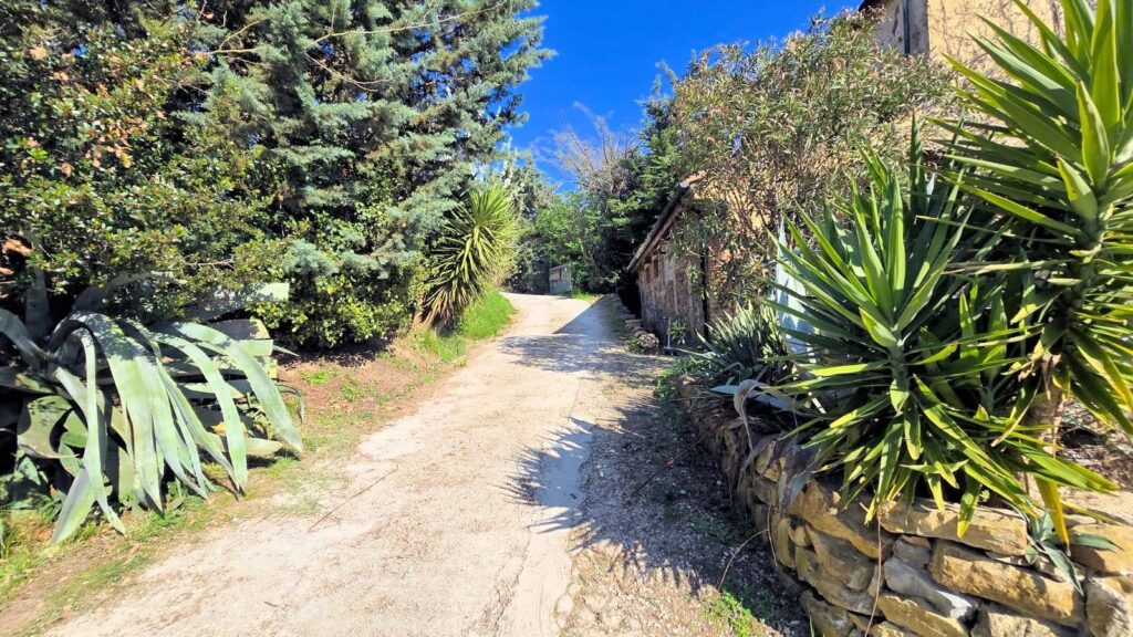 1697-Rustico in stile Toscano con terreno in splendida posizione-Monterotondo Marittimo-8 Agenzia Immobiliare ASIP