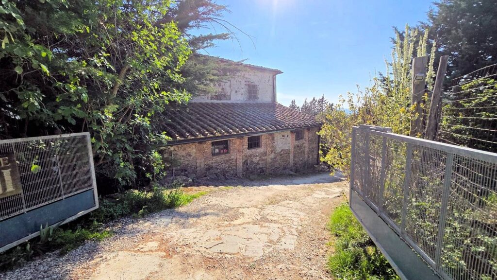 1697-Rustico in stile Toscano con terreno in splendida posizione-Monterotondo Marittimo-7 Agenzia Immobiliare ASIP