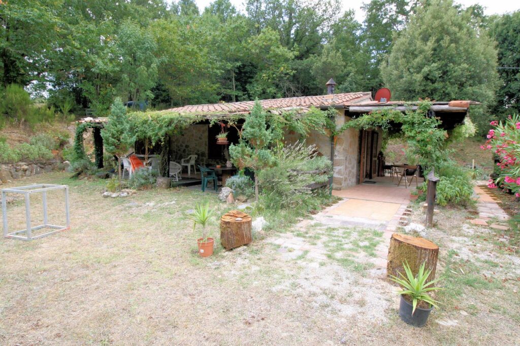 538-Rustici con vista panoramica-Roccastrada-3 Agenzia Immobiliare ASIP