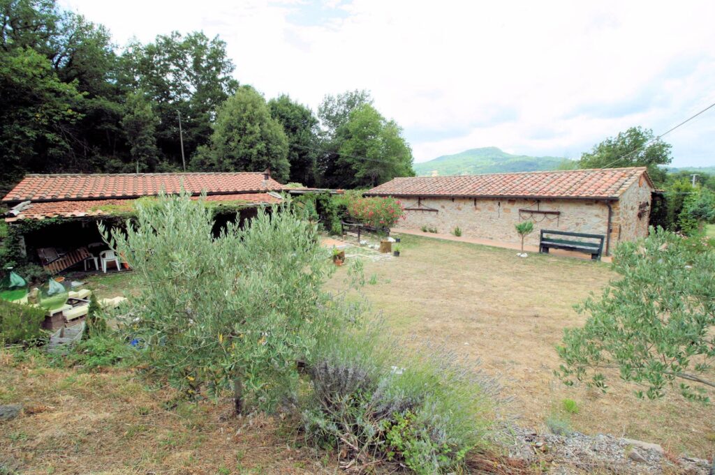 538-Rustici con vista panoramica-Roccastrada-1 Agenzia Immobiliare ASIP