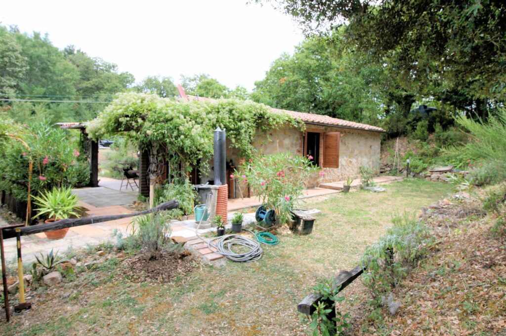 538-Rustici con vista panoramica-Roccastrada-13 Agenzia Immobiliare ASIP