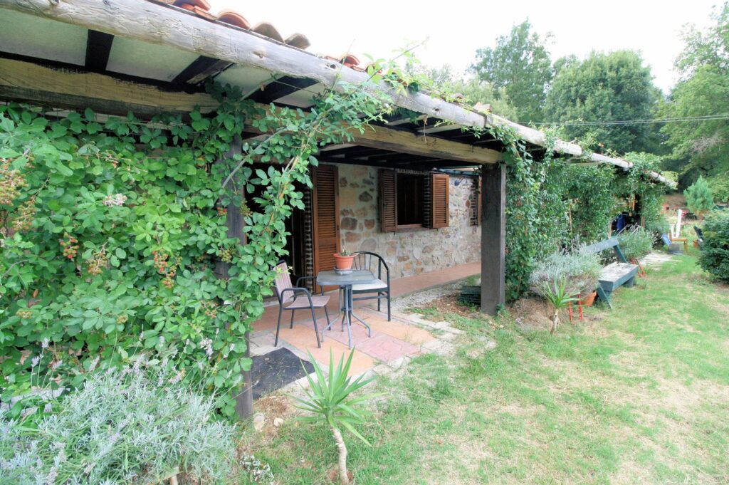 538-Rustici con vista panoramica-Roccastrada-15 Agenzia Immobiliare ASIP