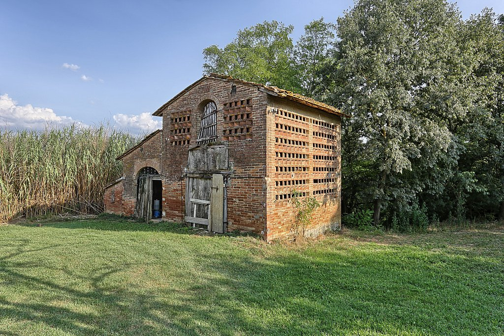 938-Azienda di prestigio-Montaione-15 Agenzia Immobiliare ASIP