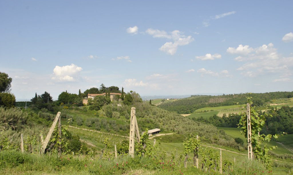 939-Azienda vitivinicola con attivita' agrituristica-Montaione-7 Agenzia Immobiliare ASIP