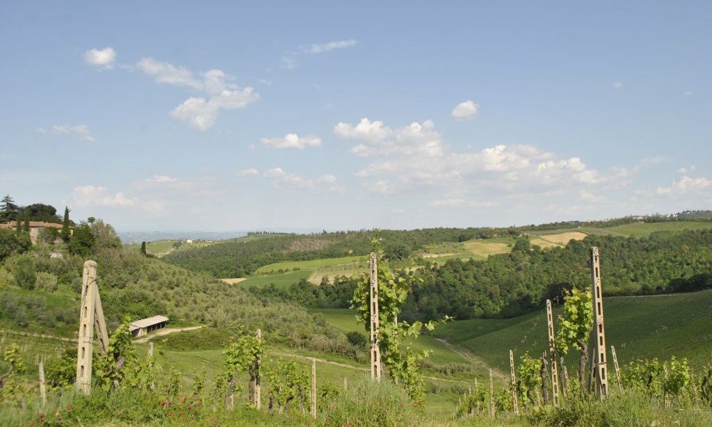 939-Azienda vitivinicola con attivita' agrituristica-Montaione-8 Agenzia Immobiliare ASIP