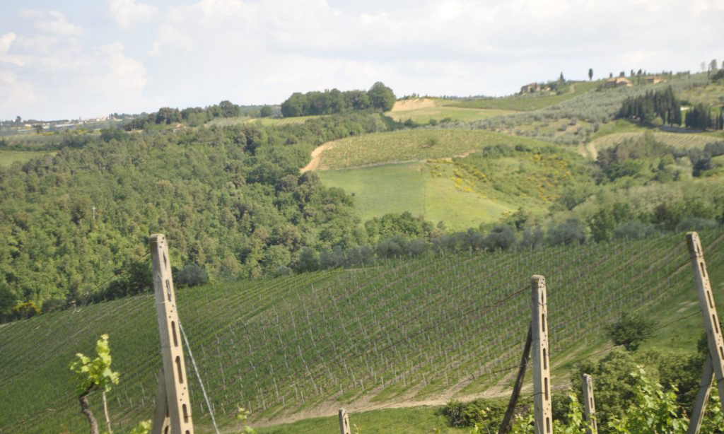 939-Azienda vitivinicola con attivita' agrituristica-Montaione-10 Agenzia Immobiliare ASIP