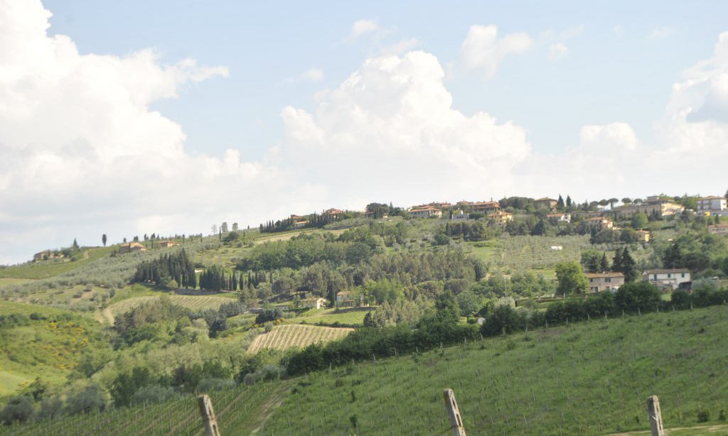 939-Azienda vitivinicola con attivita' agrituristica-Montaione-11 Agenzia Immobiliare ASIP