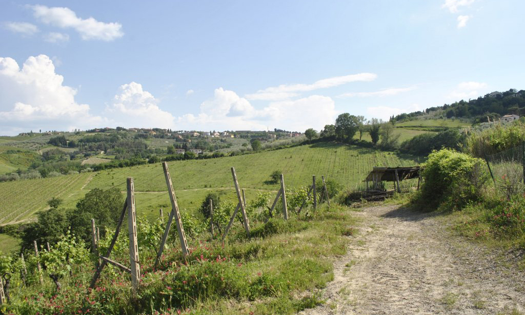 939-Azienda vitivinicola con attivita' agrituristica-Montaione-12 Agenzia Immobiliare ASIP