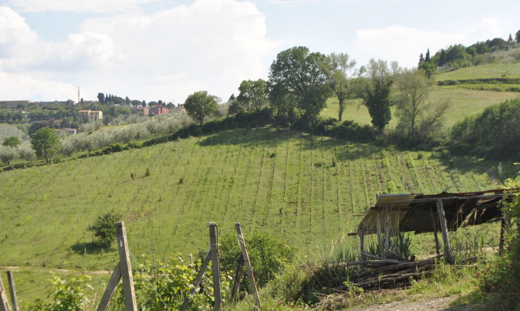 939-Azienda vitivinicola con attivita' agrituristica-Montaione-13 Agenzia Immobiliare ASIP