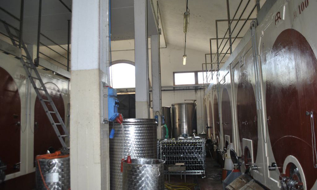 939-Azienda vitivinicola con attivita' agrituristica-Montaione-3 Agenzia Immobiliare ASIP