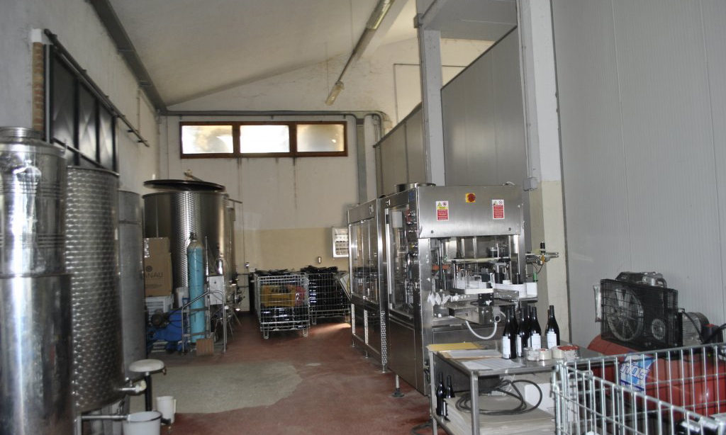 939-Azienda vitivinicola con attivita' agrituristica-Montaione-5 Agenzia Immobiliare ASIP