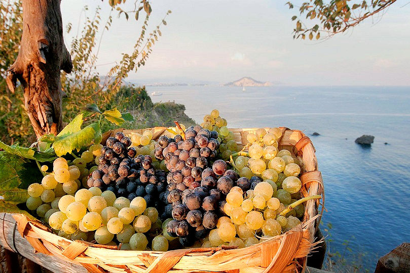 940-Azienda agricola con villa e piscina-Montecatini Val di Cecina-18 Agenzia Immobiliare ASIP