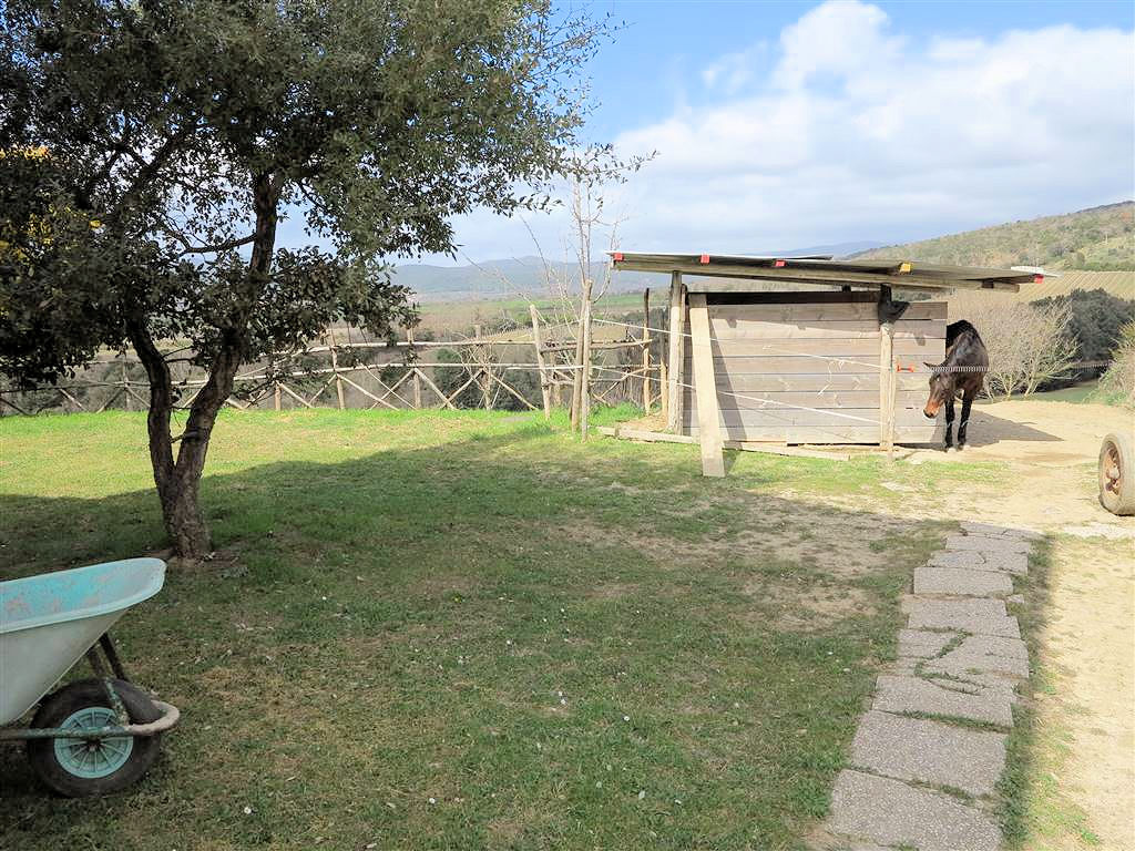 979-Rustico ristrutturato in posizione collinare-Gavorrano-8 Agenzia Immobiliare ASIP