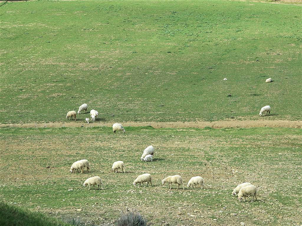 979-Rustico ristrutturato in posizione collinare-Gavorrano-16 Agenzia Immobiliare ASIP