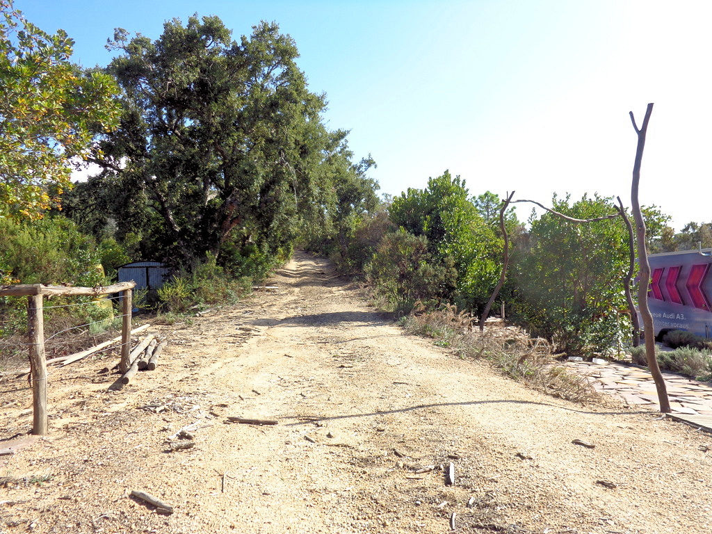 1063-Terreno per azienda agricola in posizione stupenda-Campo nell'Elba-4 Agenzia Immobiliare ASIP
