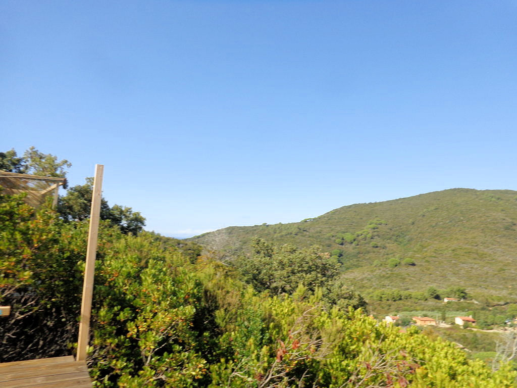 1063-Terreno per azienda agricola in posizione stupenda-Campo nell'Elba-3 Agenzia Immobiliare ASIP