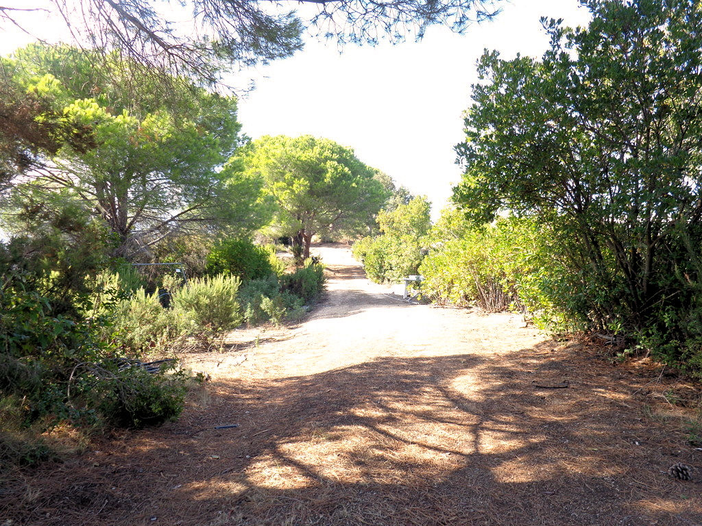 1063-Terreno per azienda agricola in posizione stupenda-Campo nell'Elba-2 Agenzia Immobiliare ASIP