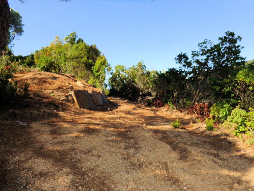 1063-Terreno per azienda agricola in posizione stupenda-Campo nell'Elba-10 Agenzia Immobiliare ASIP
