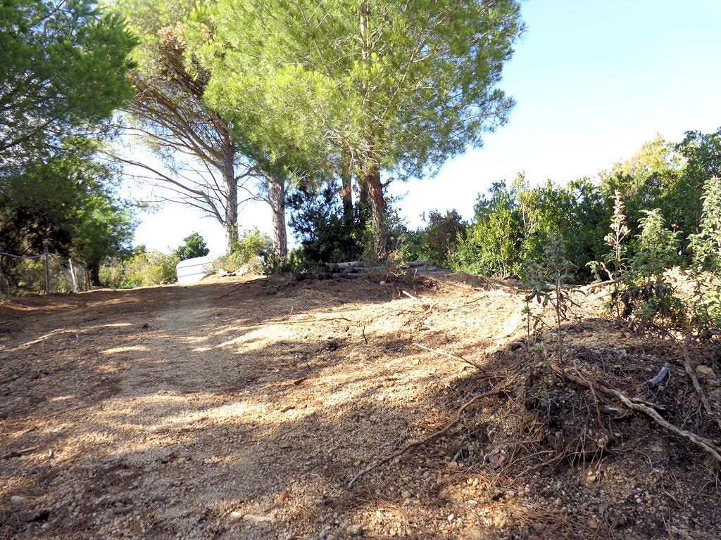 1063-Terreno per azienda agricola in posizione stupenda-Campo nell'Elba-7 Agenzia Immobiliare ASIP