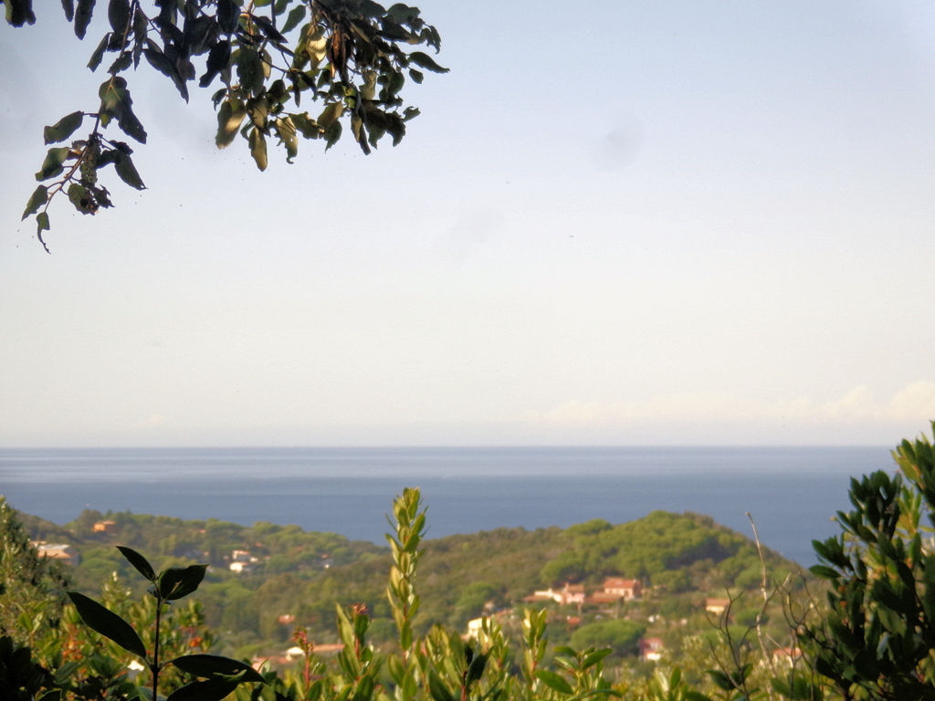 1063-Terreno per azienda agricola in posizione stupenda-Campo nell'Elba-1 Agenzia Immobiliare ASIP