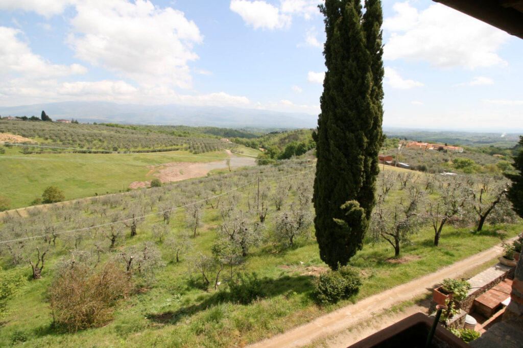 1030-Antico casale ristrutturato con vista panoramica-Figline e Incisa Valdarno-20 Agenzia Immobiliare ASIP