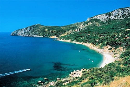 1072-Lotto di terreno con progetto approvato per la realizzazione di un parcheggio per 85 posti auto-Monte Argentario-2 Agenzia Immobiliare ASIP