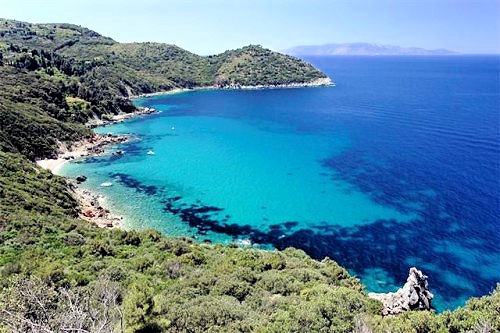 1072-Lotto di terreno con progetto approvato per la realizzazione di un parcheggio per 85 posti auto-Monte Argentario-4 Agenzia Immobiliare ASIP