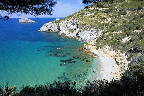 1072-Lotto di terreno con progetto approvato per la realizzazione di un parcheggio per 85 posti auto-Monte Argentario-14 Agenzia Immobiliare ASIP