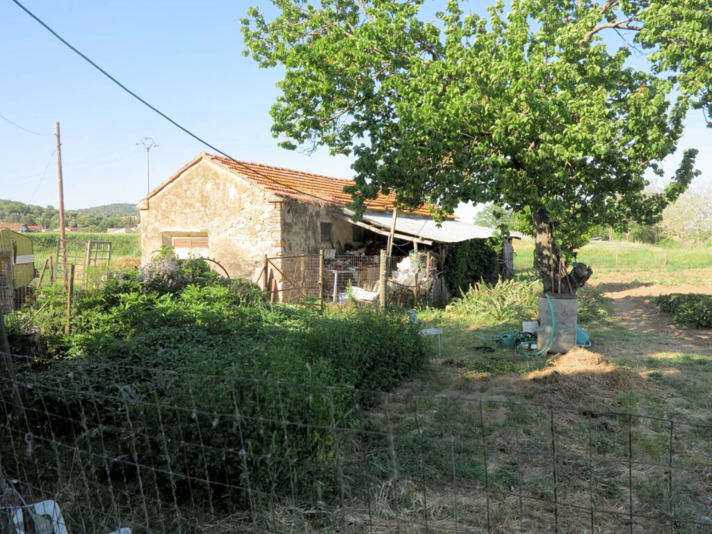 1041-Piccola azienda agricola-Gavorrano-8 Agenzia Immobiliare ASIP