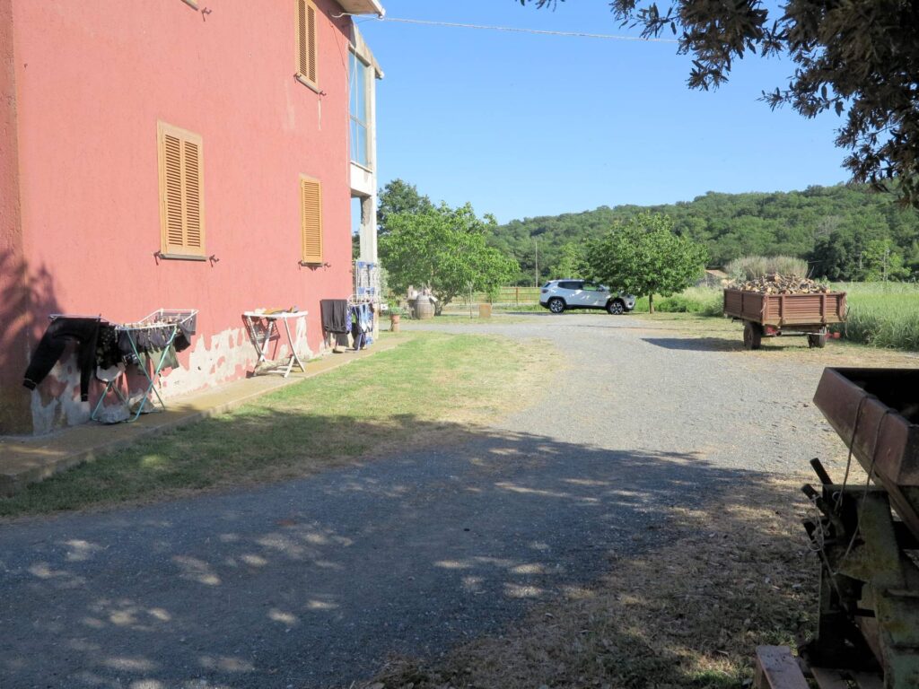 1041-Piccola azienda agricola-Gavorrano-2 Agenzia Immobiliare ASIP