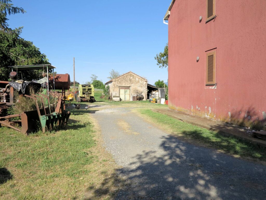1041-Piccola azienda agricola-Gavorrano-5 Agenzia Immobiliare ASIP
