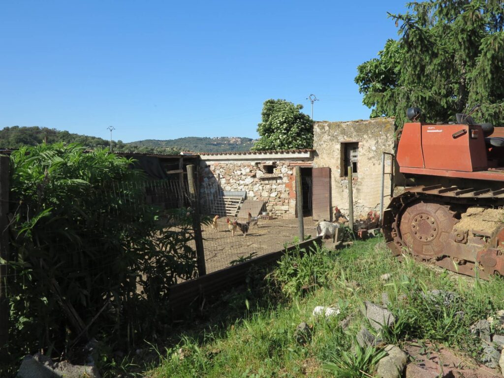 1041-Piccola azienda agricola-Gavorrano-9 Agenzia Immobiliare ASIP