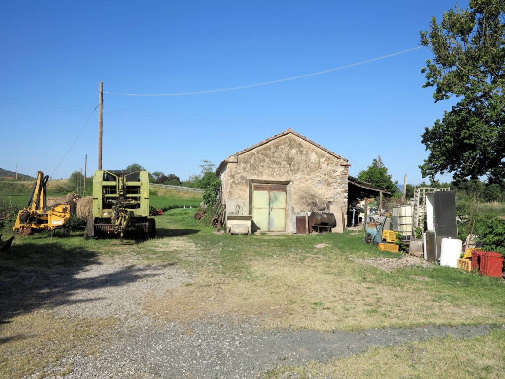 1041-Piccola azienda agricola-Gavorrano-10 Agenzia Immobiliare ASIP
