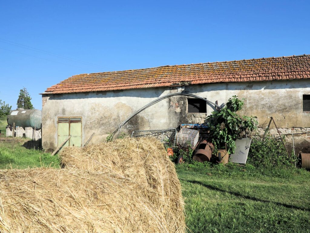 1041-Piccola azienda agricola-Gavorrano-7 Agenzia Immobiliare ASIP